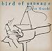 bird of passage