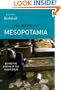 The Rape of Mesopotamia: Behind the Looting of the Iraq Museum