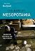 The Rape of Mesopotamia