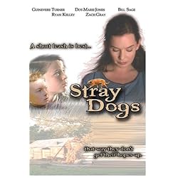 Stray Dogs