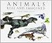 Animals Real and Imagined: The Fantasy of What Is and What Might Be