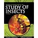 Borror and DeLong's Introduction to the Study of Insects