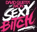 Sexy Bitch