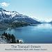 The Tranquil Stream: Relaxation Music With Nature Sounds