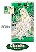 Chobits, Vol. 2