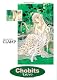 Chobits Omnibus (Volume 2)