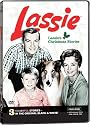 Lassie's Christmas Stories