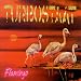 Flamingo [Vinyl LP]