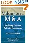 Valuation for M&A: Building Value in Private Companies (Wiley Finance)