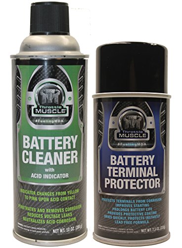 Throttle Muscle TM2548 - Battery Cleaner with Acid ...