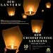 Light a Lantern Sky Lanterns, 10-Pack, White