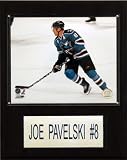 NHL Joe Pavleski San Jose Sharks Player Plaque