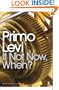 If Not Now, When? (Penguin Modern Classics)