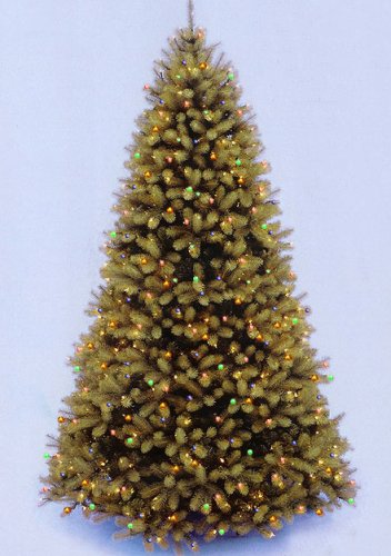 12' Downswept Douglas Fir Pre-Lit PE Artificial Christmas Tree - Multi Lights