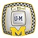 NCAA Michigan Gameday Chip and Dip