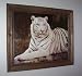 White Bengal Tiger Picture Print in Rope-trimmed Pine Wood Frame