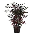3' Artificial Potted Natural Red Capensia Bush - Unlit