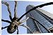 Canvas Prints of Maman Spider sculpture by Louise Bourgeois with Roppongi Hills Mori Tower in from Robert Harding