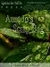 Books : Aunt Jo's Scrap-Bag