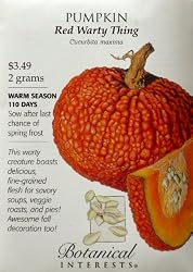 Pumpkin Seeds "Red Warty Thing"