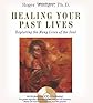 Healing Your Past Lives: Exploring the Many Lives of the Soul