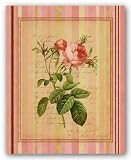 Botanical Rose I by Studio Voltaire 16x20 Art Print Poster