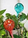 Unique Aqua Globes Glass Plant Watering Bulbs - Green and Red