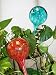 Unique Aqua Globes Glass Plant Watering Bulbs - Green and Red