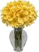 Yellow Peruvian Lilies 100 Blooms without Vase