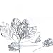 Factory Direct Craft Package of 100 Silver Glitter Trimmed Rose Leaves for Embellishing Corsages, Arrangements, and Crafts
