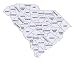Ninety Years in Aiken County, South Carolina : Memoirs of Aiken County and Its People on CD