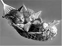 Ravensburger - Jigsaw Puzzle 500 Pieces - Nap