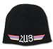Skull cap beanie with Armenian flag and HYE written in Armenian. Black