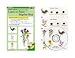 Daniel Smith Learn To Paint with Watercolors Art Acivity Kit, Country Series with DVD