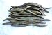 Haynes Signature Series 7 Stix Worms (25 count)