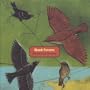 Blackbirds & Thrushes