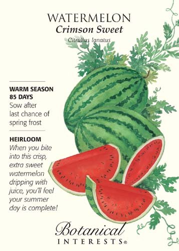 Hirts: Seed; Melon 