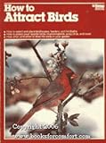 How to Attract Birds