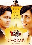 The Treatment [DVD]