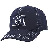 Zephyr Michigan Wolverines Navy Blue Slide Show Fitted Hat