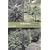 Marijuana Outdoor Grower's Guide