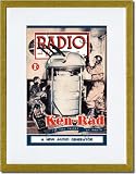 Gold Framed/Matted Print 17x23, A New Audio Generator