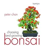 Choosing and Growing Bonsai