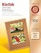 Kodak Matte Photo Paper, 8.5 x 11 Inches, 100 Sheets per Pack (8318164)