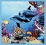 Dolphin Ocean Sea SHOWER CURTAIN Bathroom decor