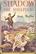 Shadow the Sheepdog