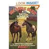 A Sassy Surprise (Big Apple Barn, No.3)