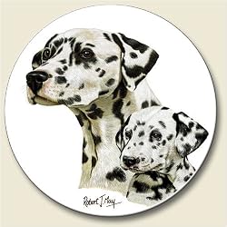 Dalmatian Auto Coaster, Single Coaster for Your Car