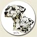 Kitchen & Housewares : AutoCoaster ~ Dalmatian ~ Tile Drink Coaster for car cupholder - code 809