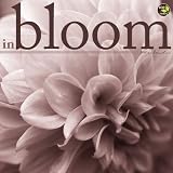 In Bloom 2011 Wall Calendar